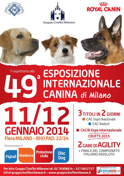 milano fiere mostra canina internazionale